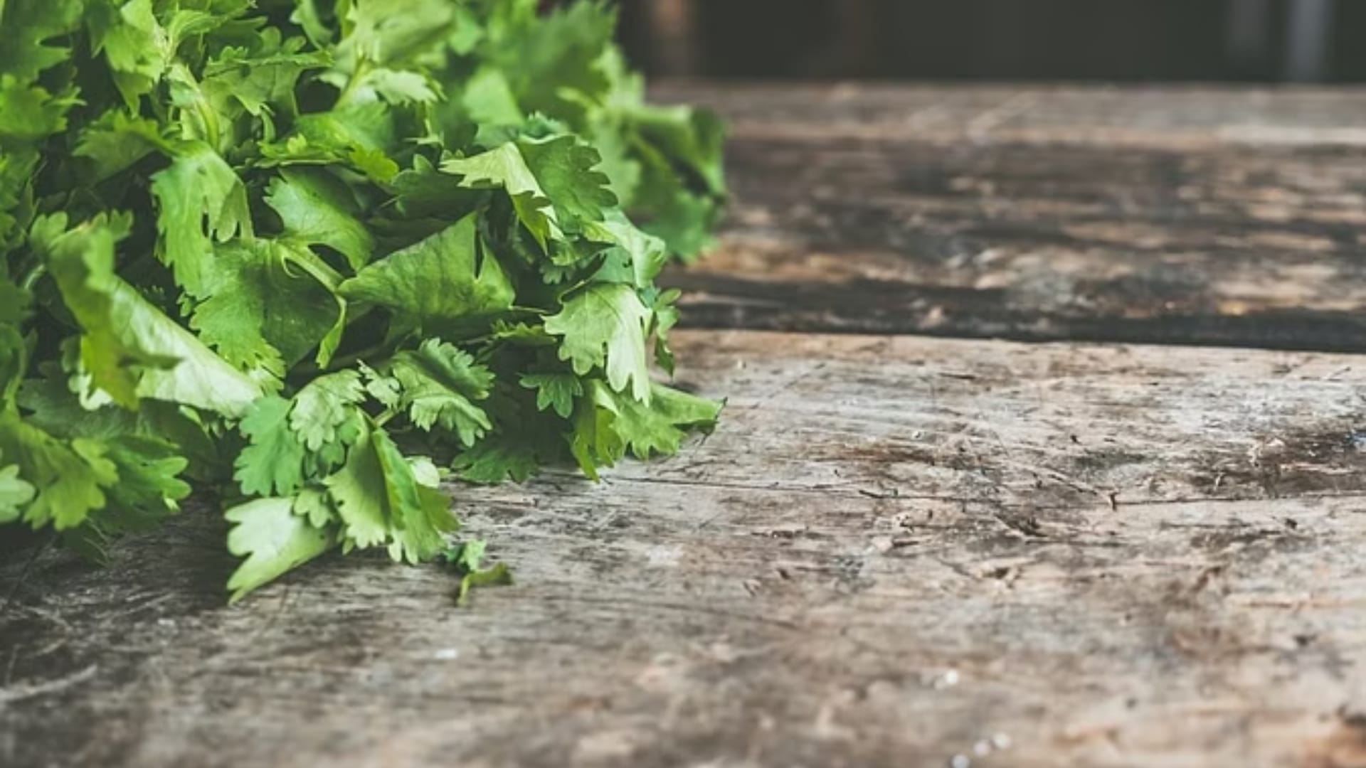 Summer Skin Care these 5 leaves give relief from pimples and tanning in summer