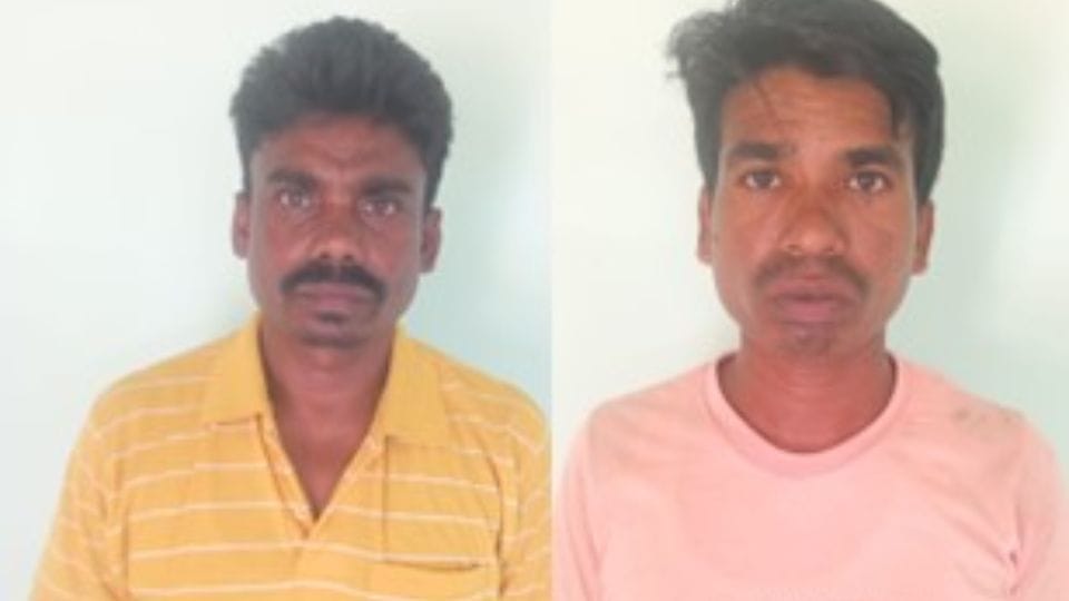 दो नक्सली गिरफ्तार