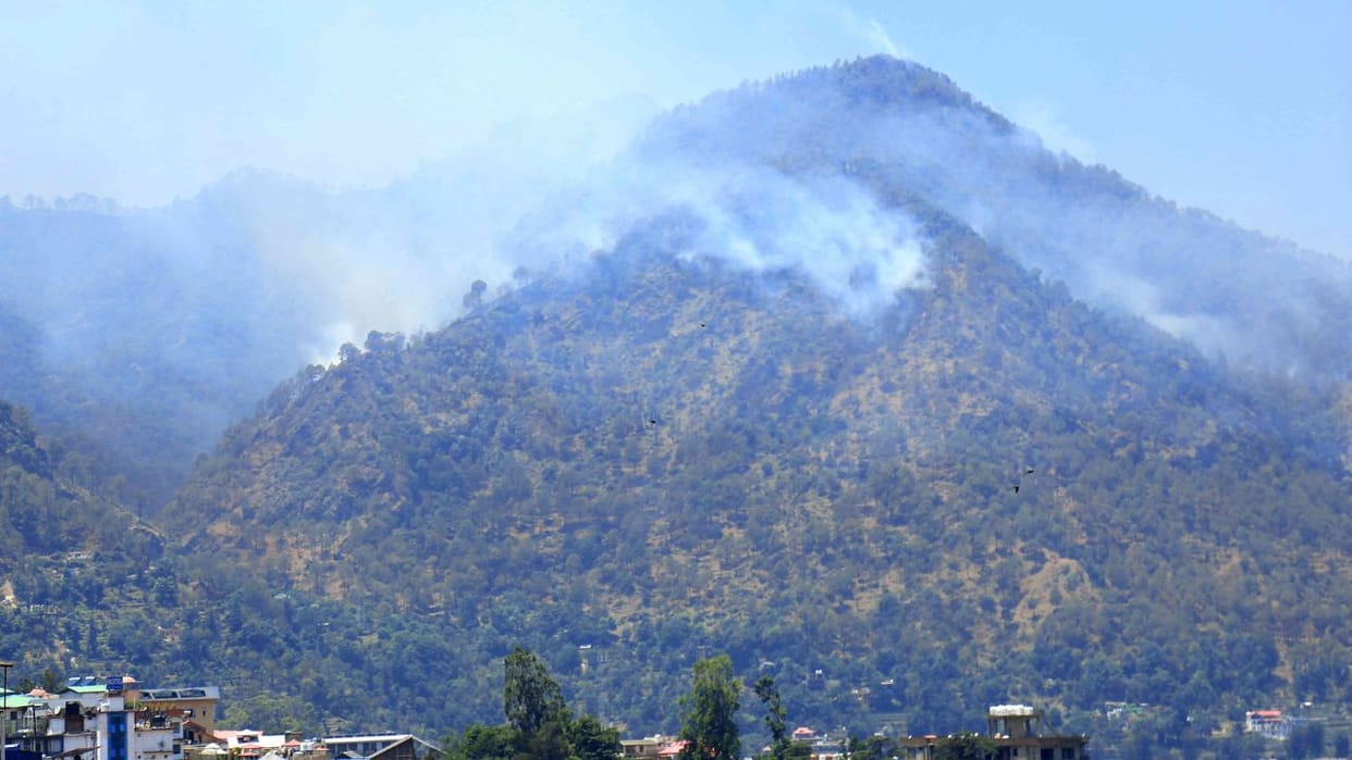 fire broke out at 31 places in himachal forest wealth worth lakhs in ashes in Solan
