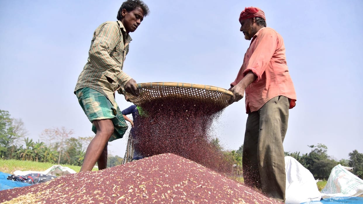 Government agencies support Farmers to buy mustard, but consumers worried about price increase