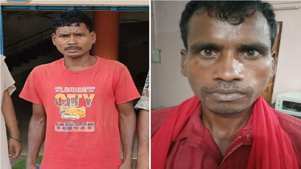 Two Naxalites involved in murder and arson and other cases arrested in Bijapur