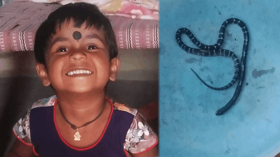 Seven year old innocent dies due to snake bite in Jagdalpur