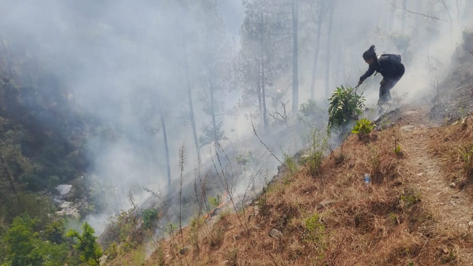 Forest fire erupts along LoC in Mendhar Forest of Poonch district