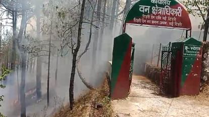 Uttarakhand Foest Fire broke out in Budogi village forest New Tehri reached forest department custation