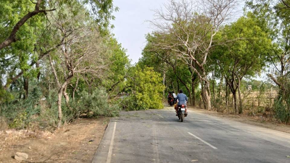 Agra weather news Light rain accompanied by strong thunderstorm occurred in many areas