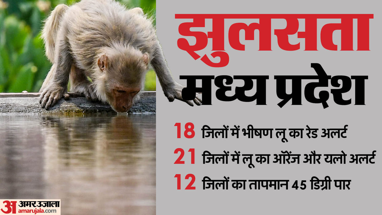 MP Weather: Prithvipur remained hot for third consecutive day, temperature in 12 districts crossed 45 degrees