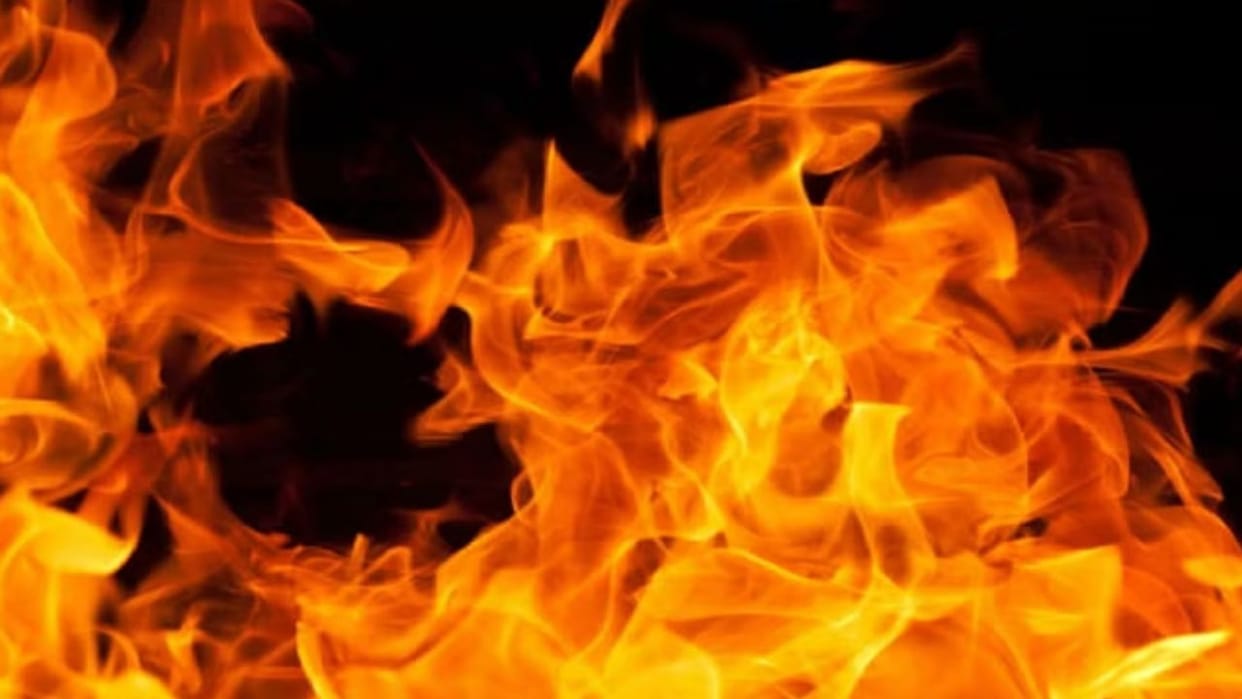 Bilaspur News An elderly man died after getting caught in a fire while extinguishing a fire in the bushes
