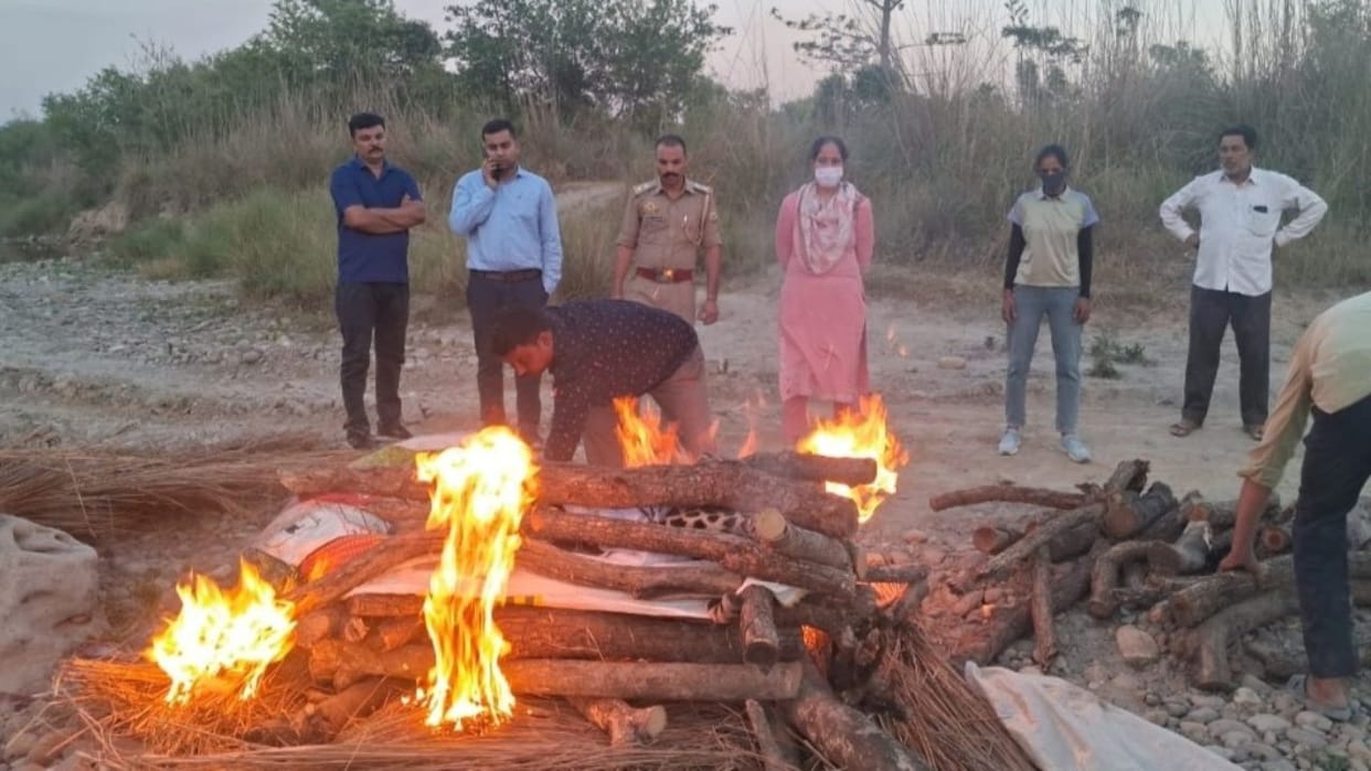 Una News A dead leopard was found in the Samurkalan forest after being shot