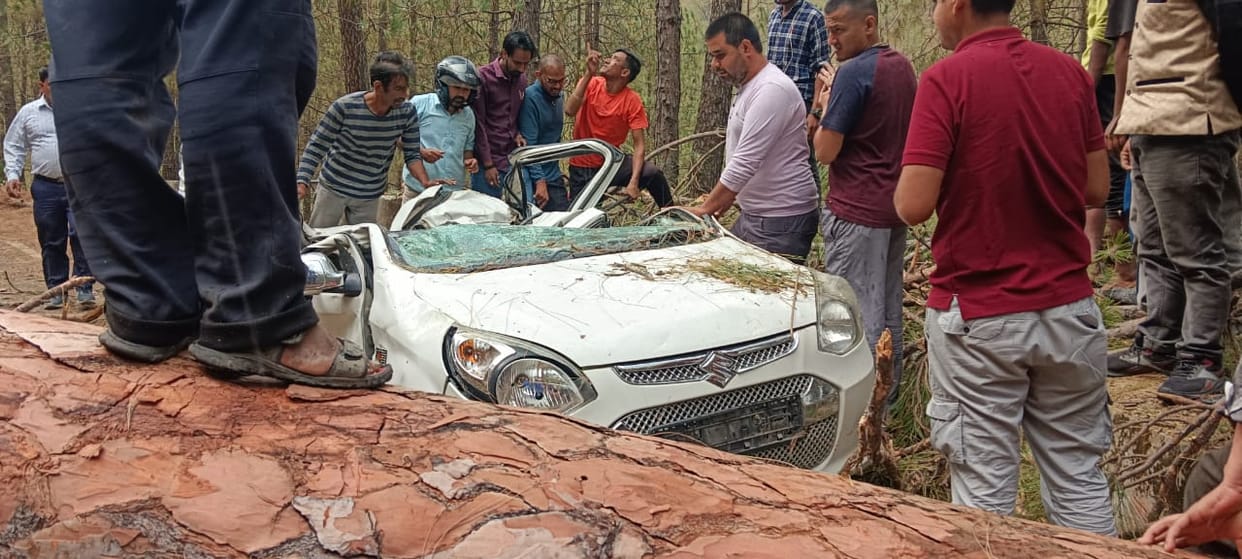 Tree fell on car one dead one injured in Uttarkashi storm hurricane Uttarakhand Weather