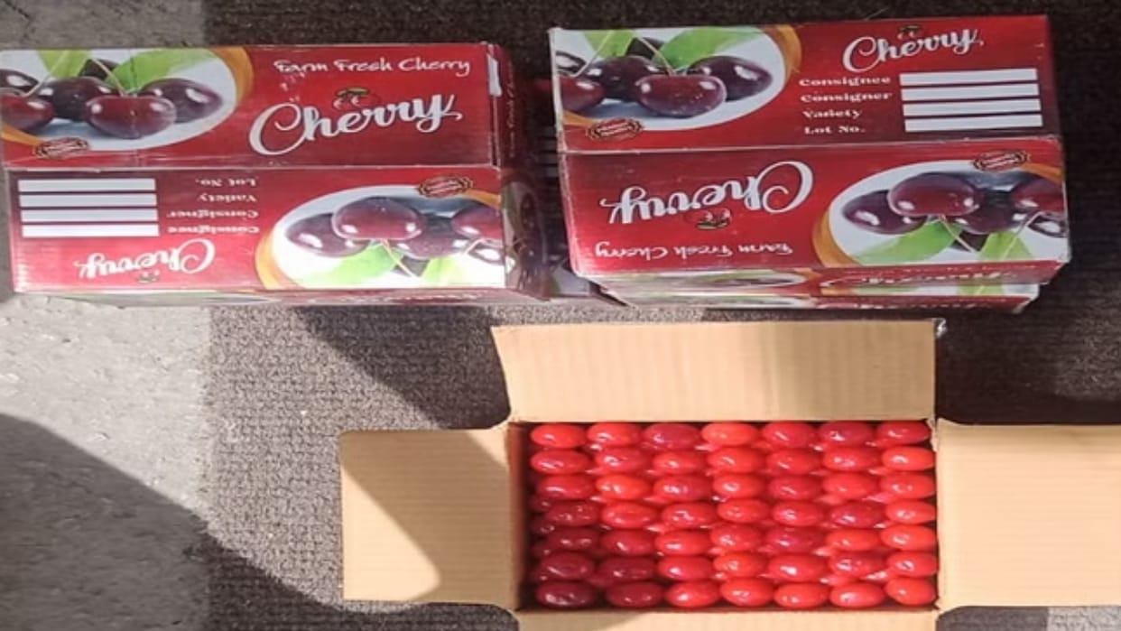 Himachal Cherry Due to heat the quality of cherries has decreased prices have fallen