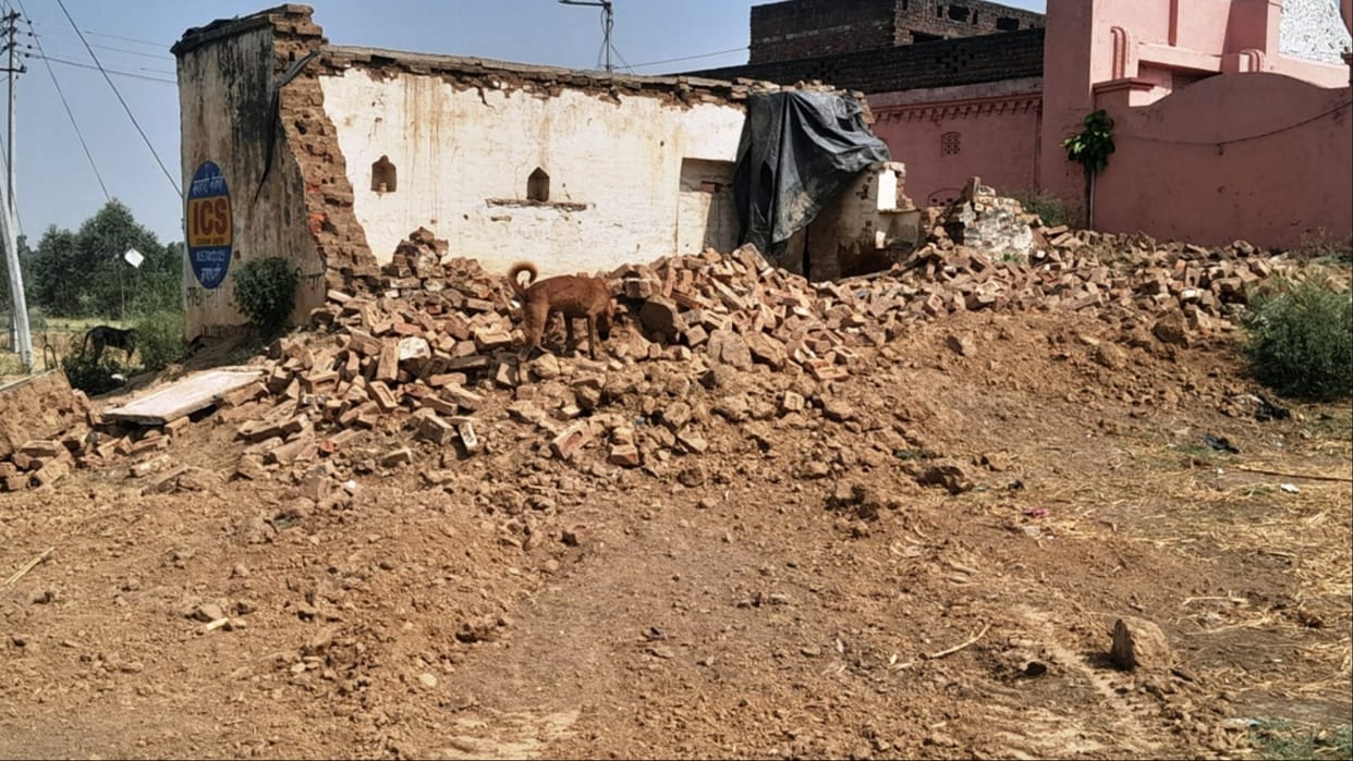 Haryana: Cows were left locked in a dilapidated house in the fields, 12 died after suffering from hunger