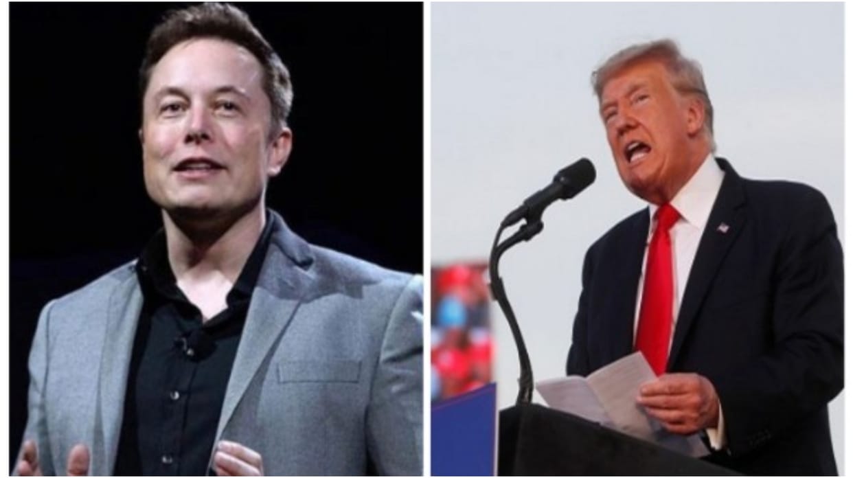 Report: Former US President Donald Trump considering Elon Musk for White House advisory role if he wins