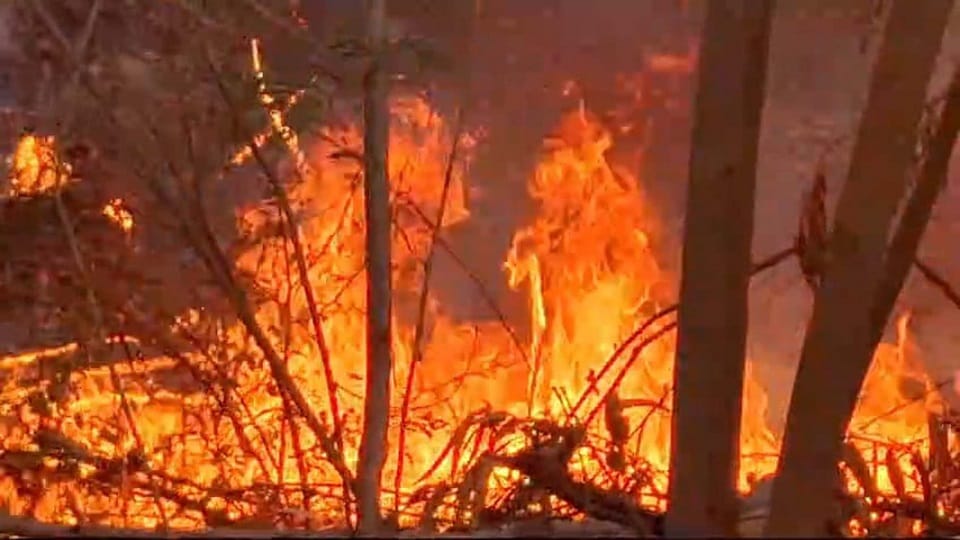 Major fire broke out in Naqvi Park of Aligarh