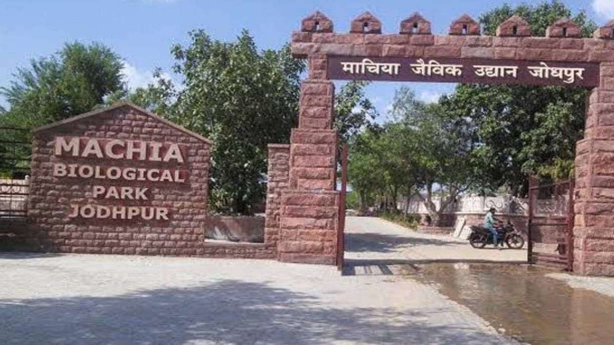 Machia Safari Park Jodhpur Due to fear of panther entry of tourists in park is closed even today