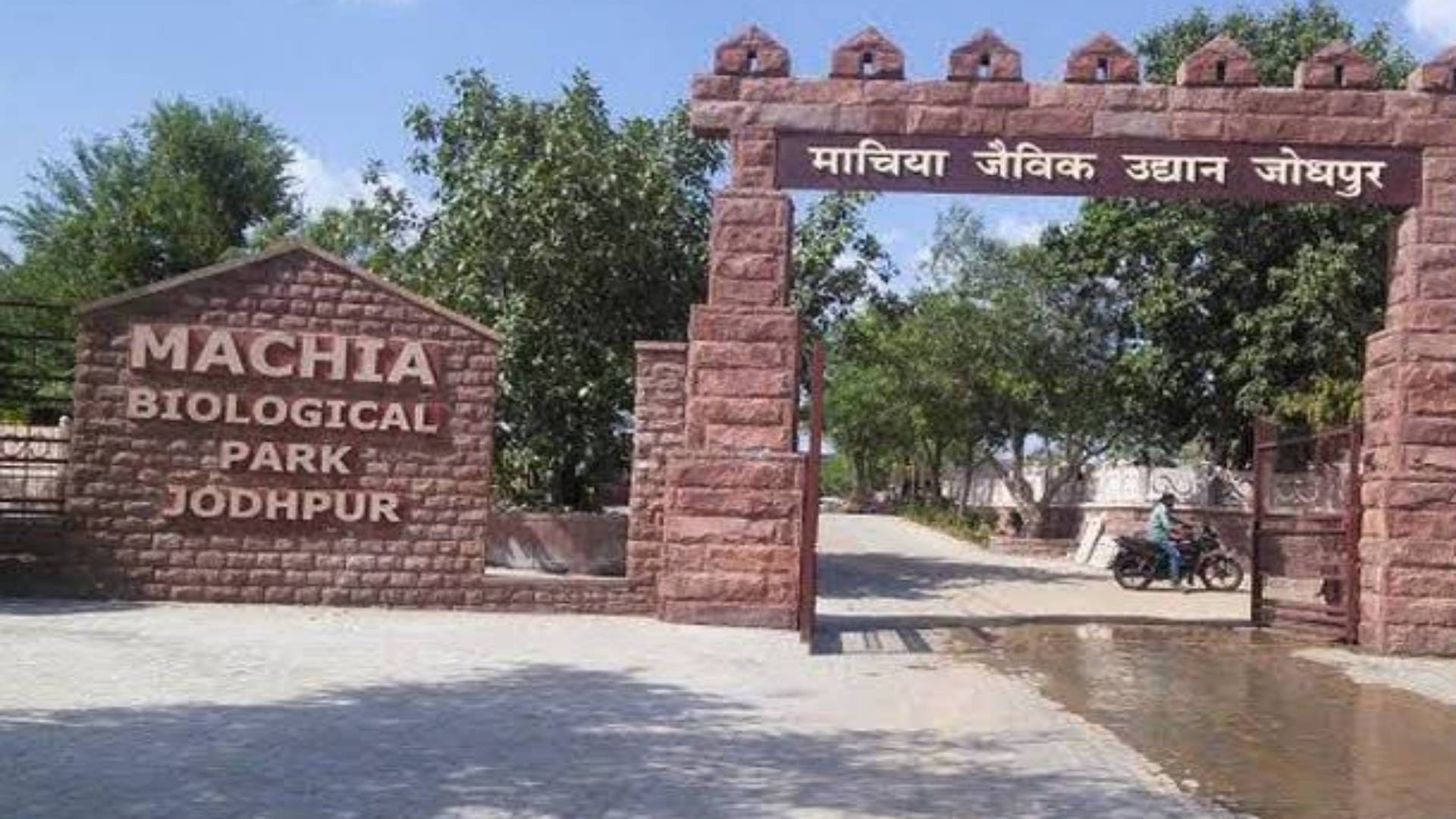 माचिया सफारी पार्क आज भी बंद