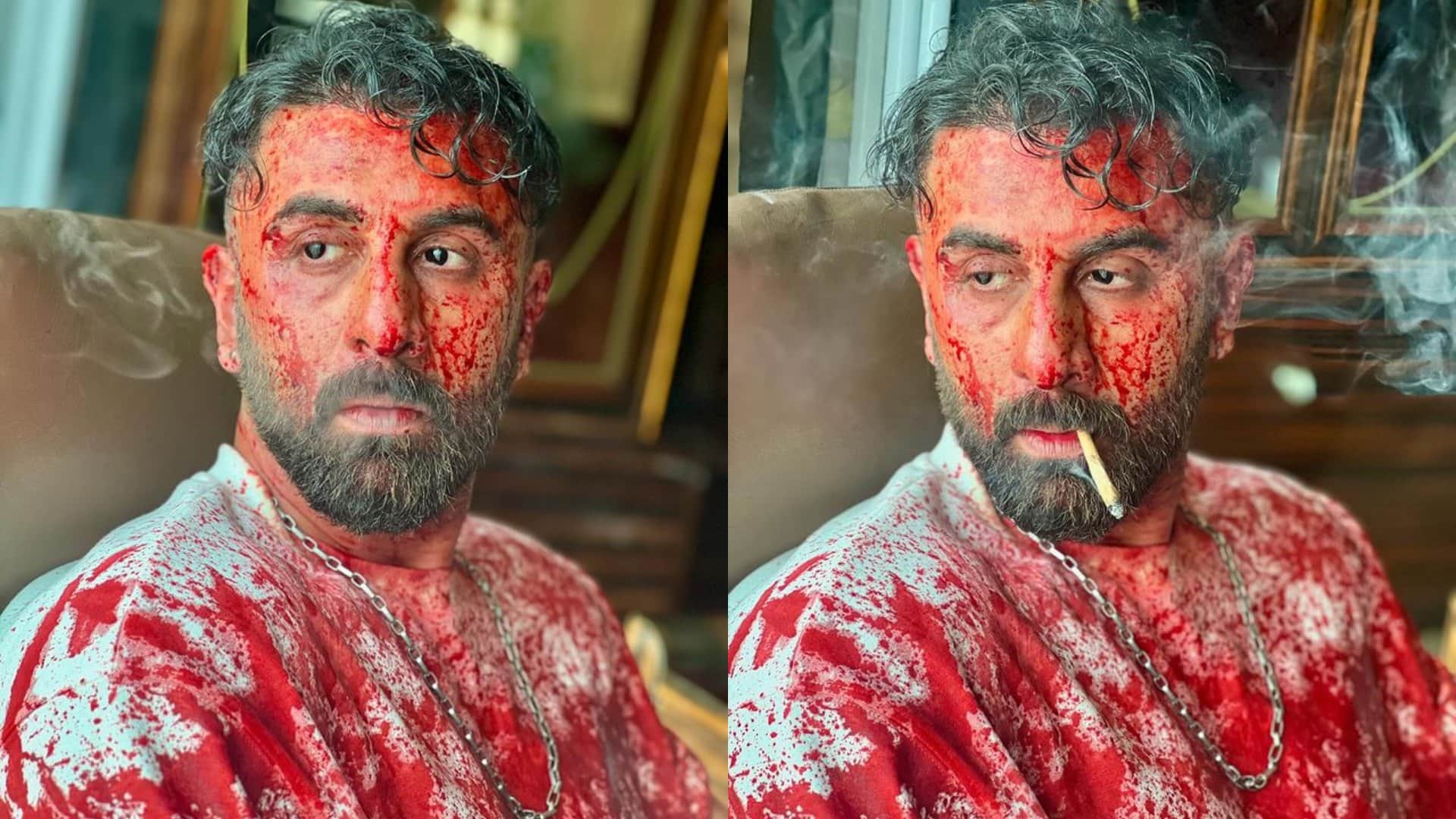 Ranbir Kapoor Opens up on Animal Criticism says it Was Stagnating In Career It Was The Correct Film