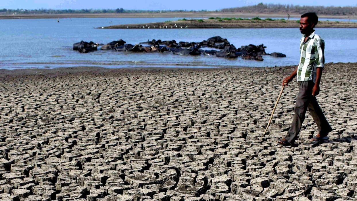 Sudden drought is taking a severe form in the world read Full news in hindi
