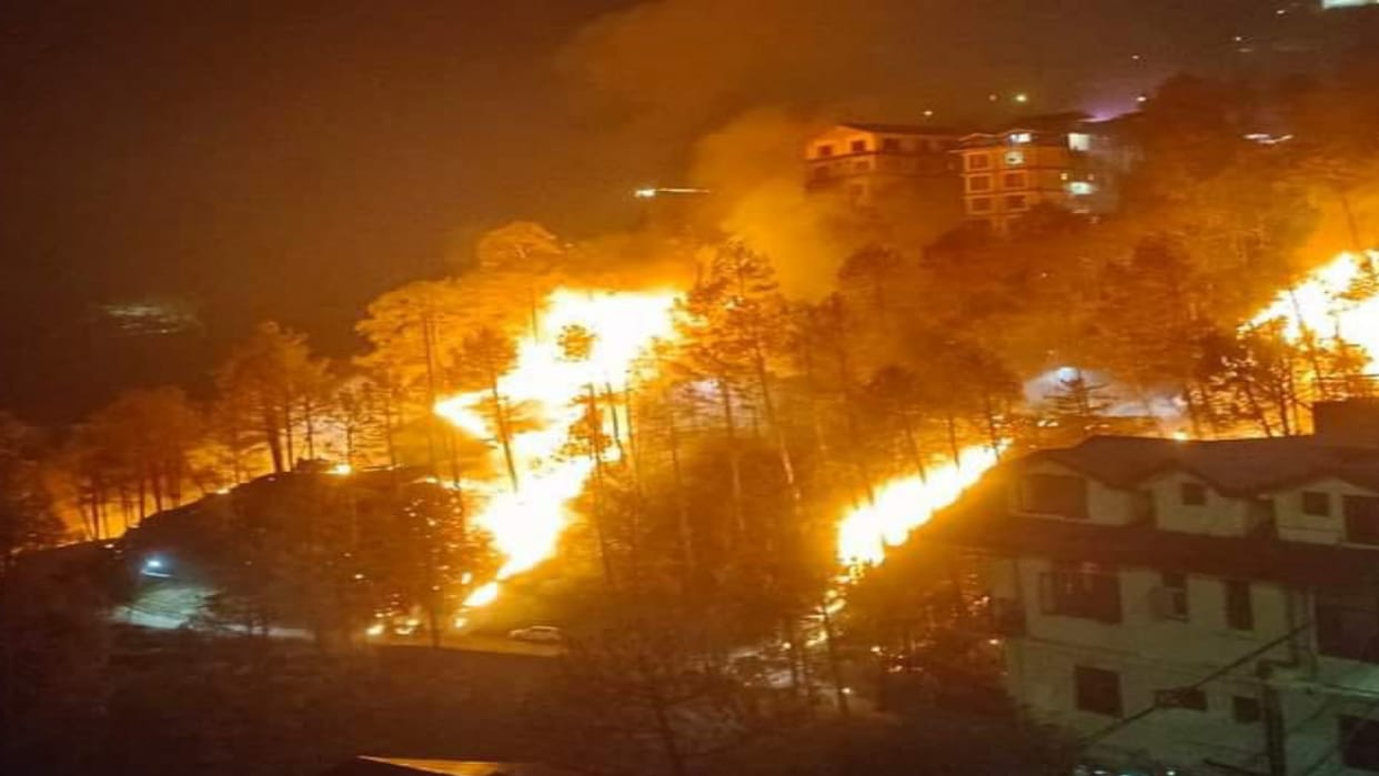 Himachal Forest Fire 76 cases of forest fire reported 903.09 hectares of forest wealth reduced to ashes