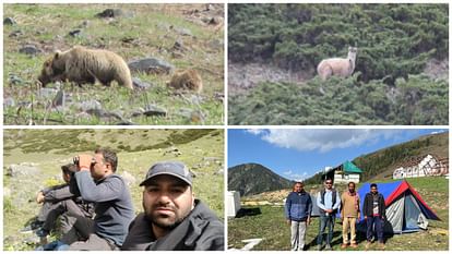 Brown bear and musk deer were seen for the first time in Tundah wildlife sanctuary Chamba HP