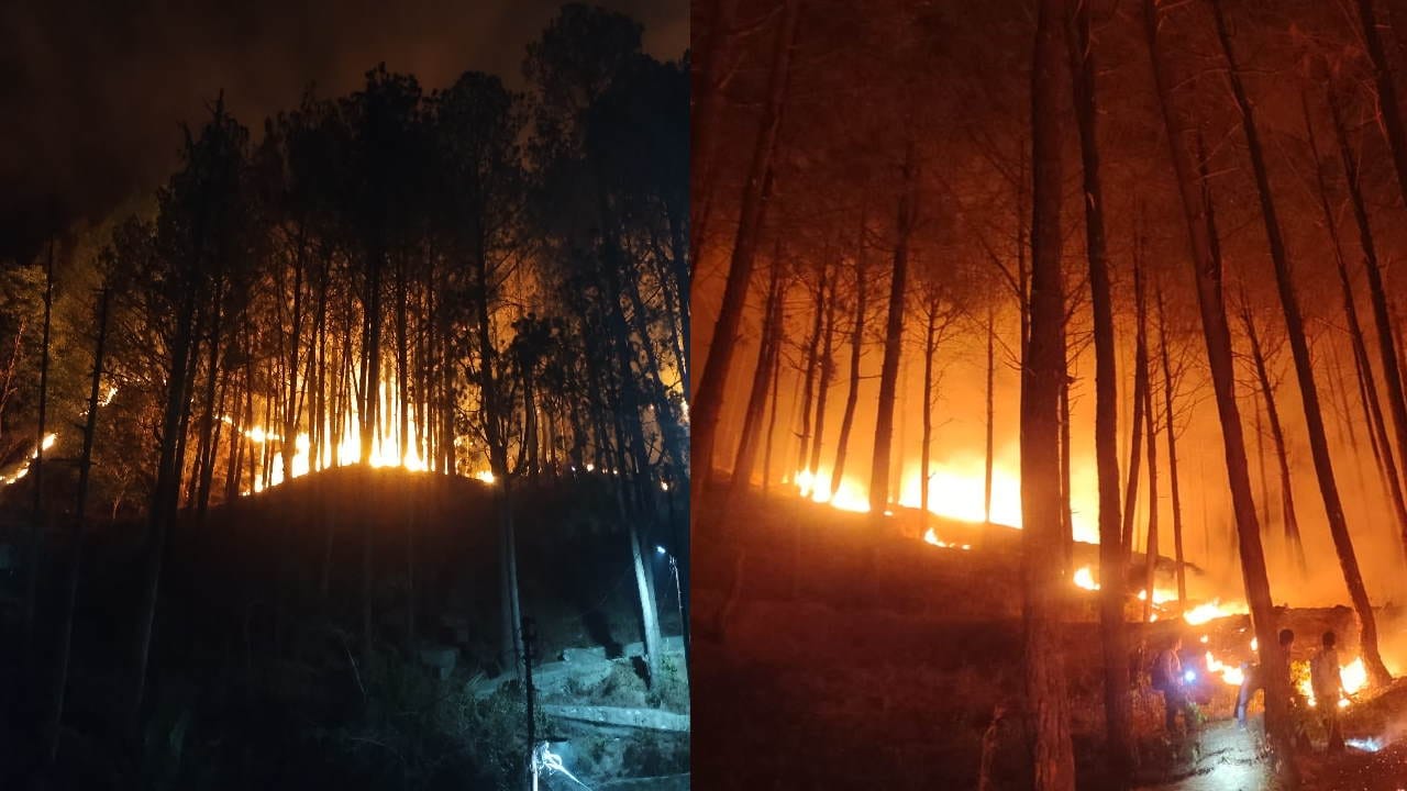 Uttarakhand Forests are burning from Ganga to Yamuna valley Watch Photos