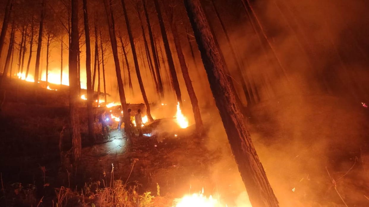 Binsar accident: Possibility of accident due to fire ball Uttarakhand Forest Fire