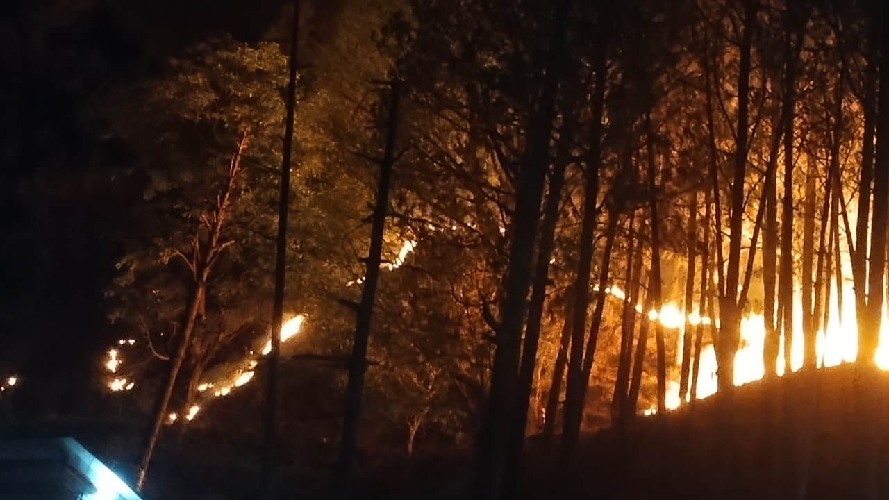 Uttarakhand Forests are burning from Ganga to Yamuna valley Watch Photos