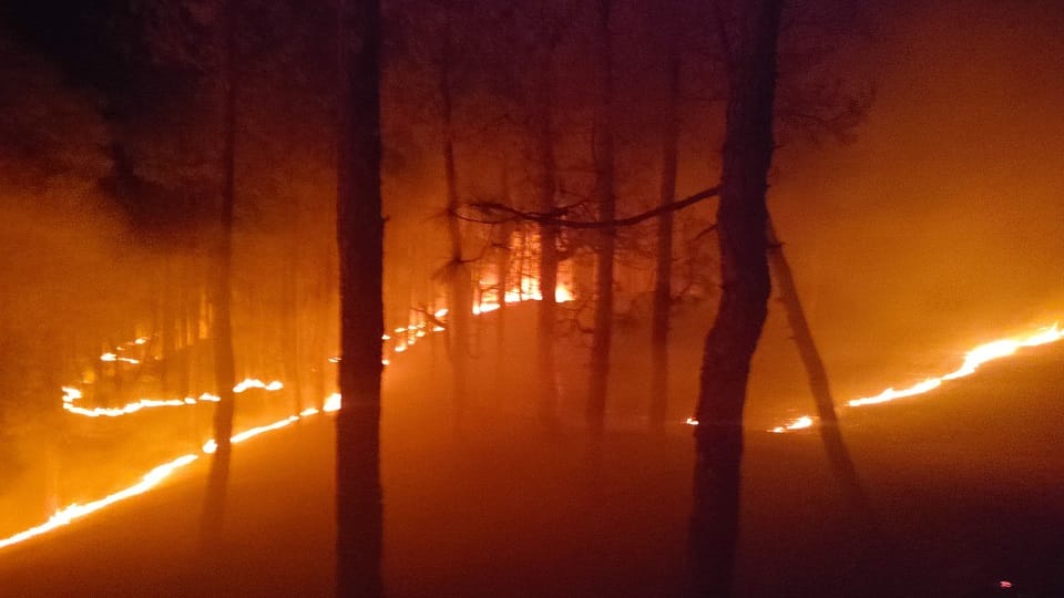 Forest fire broke out in Chitai Almora