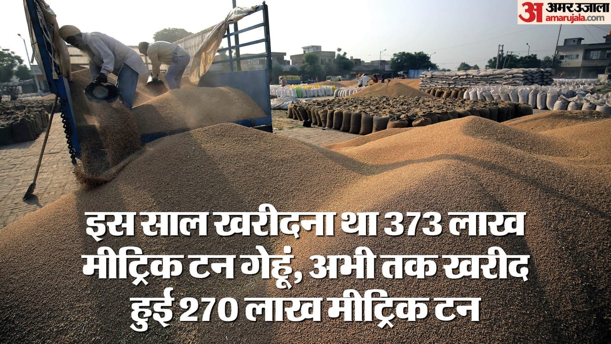 Wheat Procurement: Wheat procurement at MSP is slow, government isn't support frm farmers, how will country's