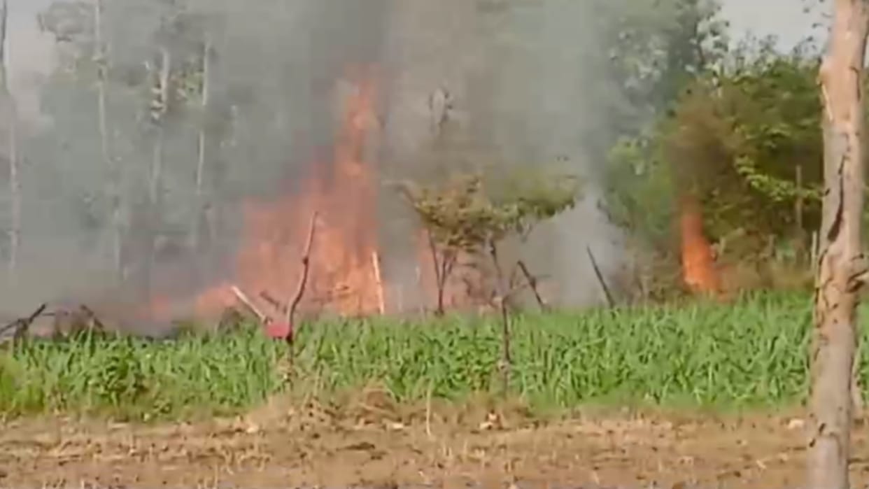 Sugarcane crop burned out in gram panchayat gogiya in Gonda.