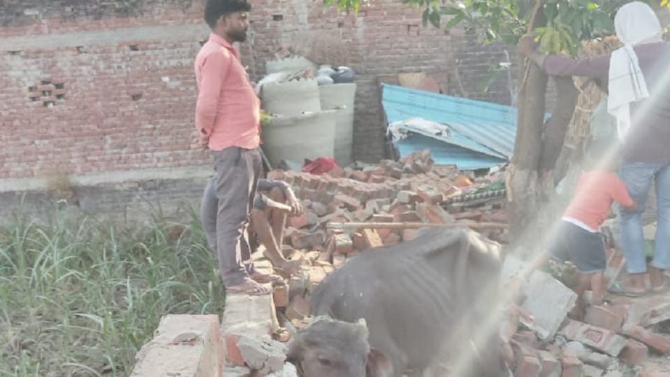 Weather Updates five people died as storm wreaks havoc in Lakhimpur Kheri
