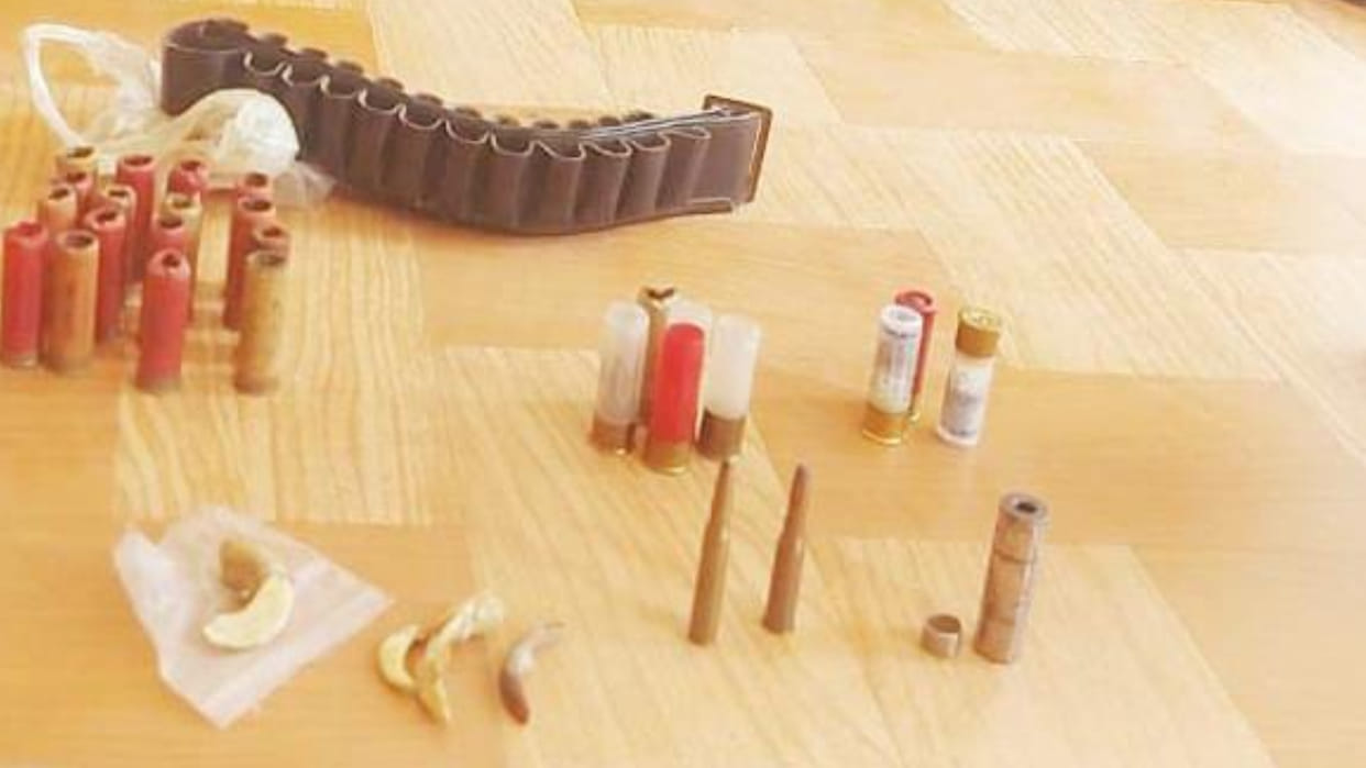 Former CMO's son turns out to be a hunter of wild animals, Parts of forest animals and cartridges confiscated