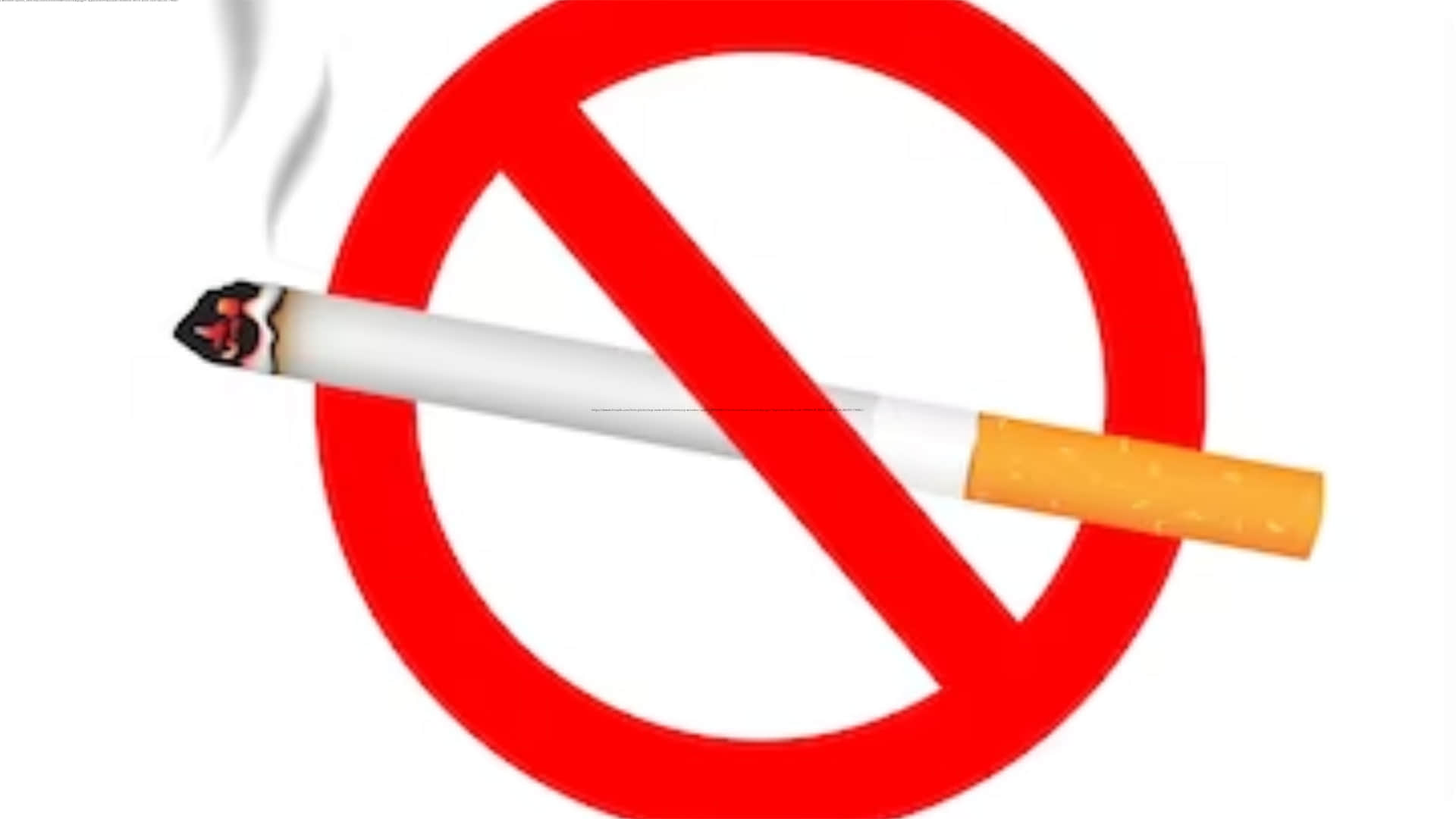World No-Tobacco Day French government announced smoking ban in public places