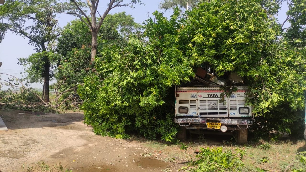 Weather Updates five people died as storm wreaks havoc in Lakhimpur Kheri