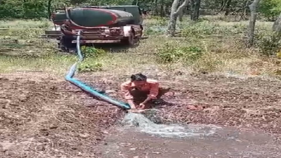 Temperature reached 44 degrees water is being provided for wild animals in Kabirdham
