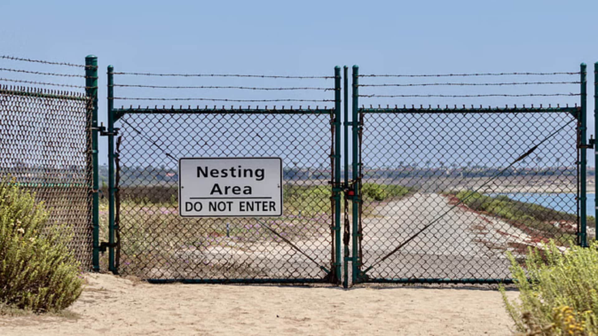 Area 51 Aliens: Do Aliens Live In Area 51 Of Us Know Sensational Claims Made About This Secret Base