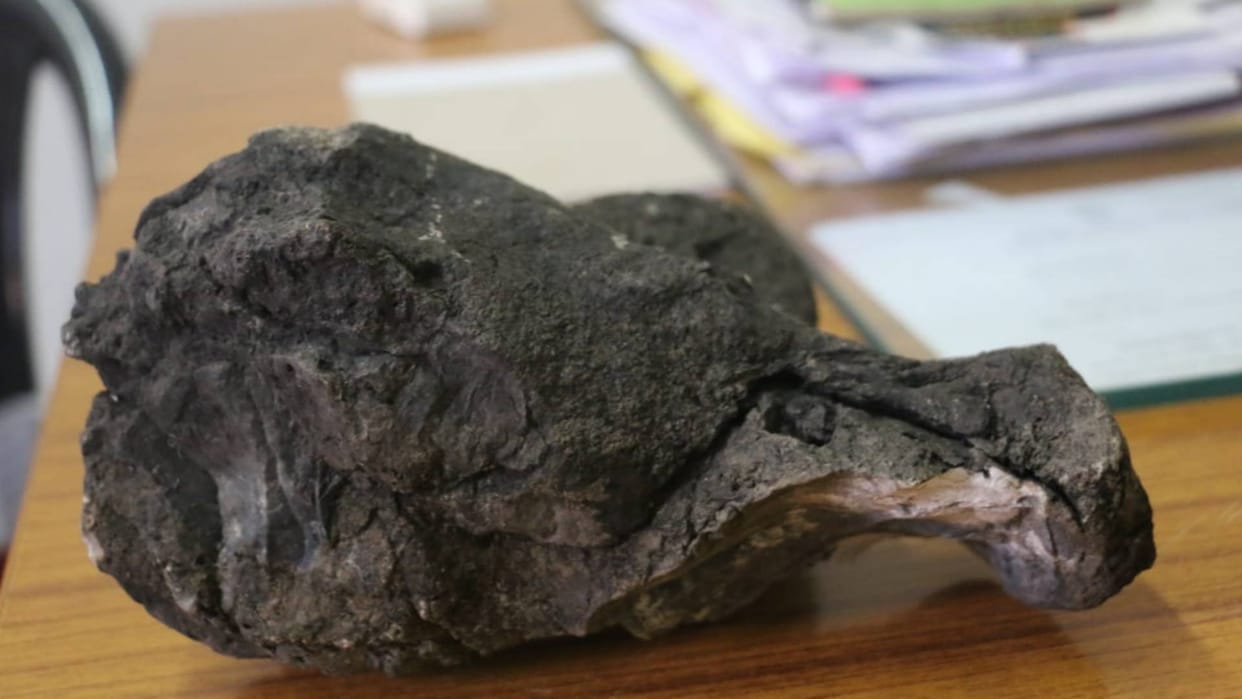 Umaria News Fossil-like stones found near Vishnu temple in Taktai sent for investigation