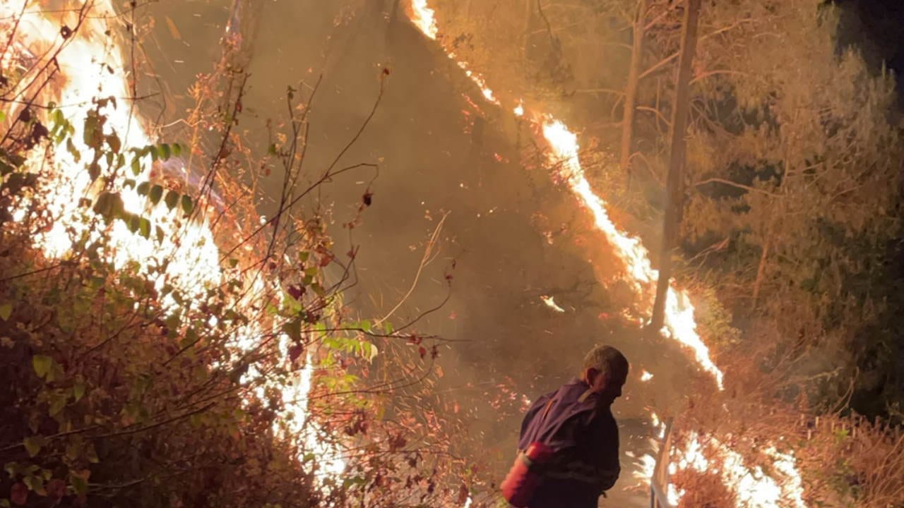 Uttarakhand Forest fire broke out in Pauri fire reached child protection home