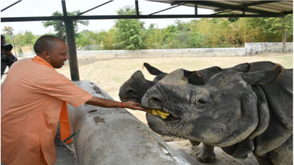 CM Yogi visited Gorakhpur Zoo on Sunday and gathered information about the lion and other wild animals