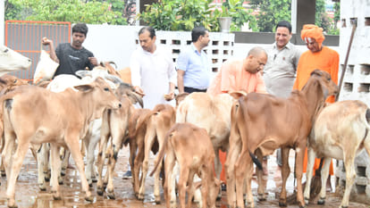 CM Yogi loved the children in Gorakhnath temple, did cow service after worshiping the Guru