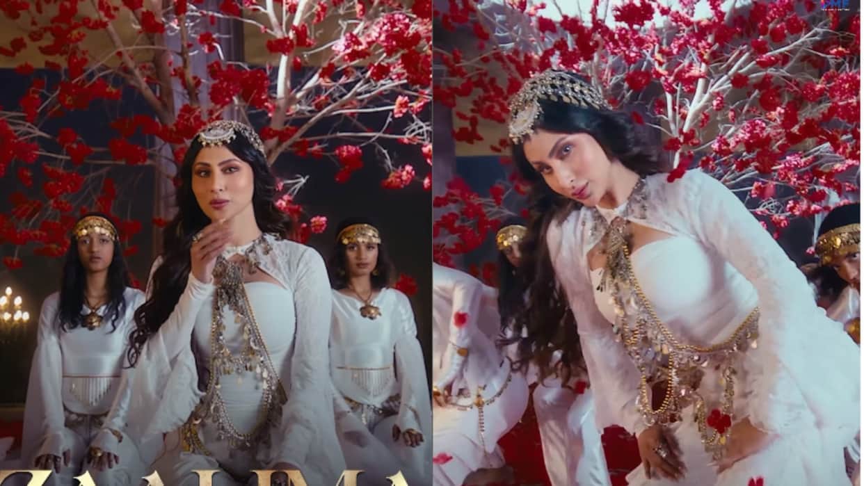 Netizens trolled Mouni Roy for her looks and harshly scrutinized her for Moroccan dance moves in music video