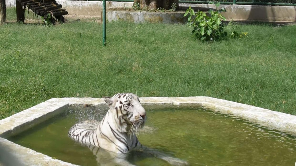 Weather Update: Kanpur was the hottest in the state