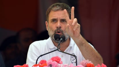 Rahul Gandhi's funny response to number of seats INDIA bloc will get