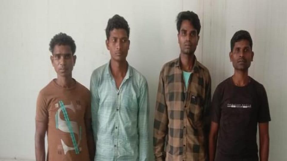 Security forces got success 12 Naxalites arrested from Jangla and Mirtur area were involved in many incidents