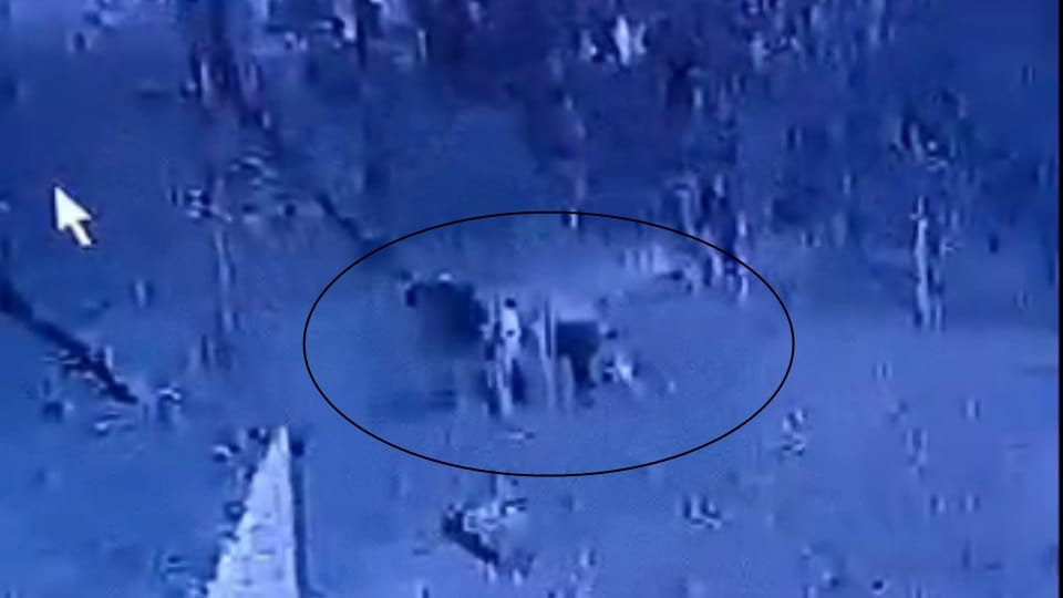 Panic after sighting of leopard in hills of village Khudana of Mahendragarh