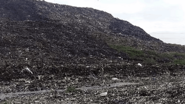 11,500 Metric Tonnes Of Garbage Collected Daily At Landfill Sites Only 7,300 Tonnes Are Disposed – Amar Ujala Hindi News Live