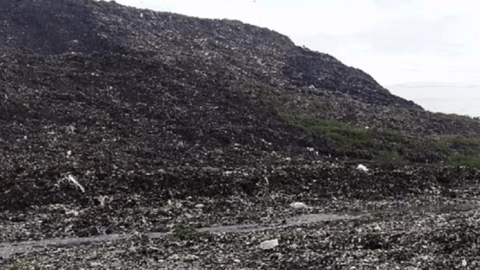 2.16 crore metric tons of garbage removed from garbage mountain in Delhi