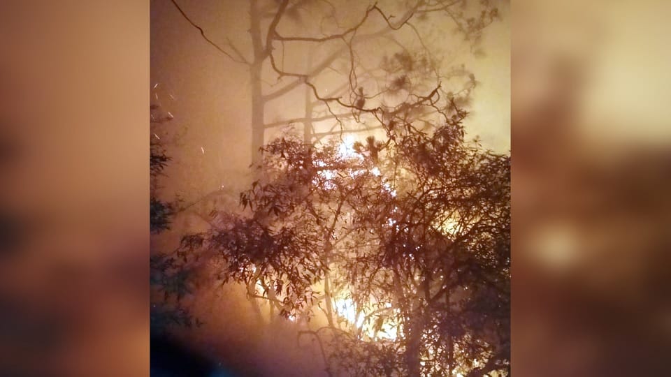 Forest fire uncontrolled in Jammu and Kashmir reached Mata Vaishno Devi Yatra route