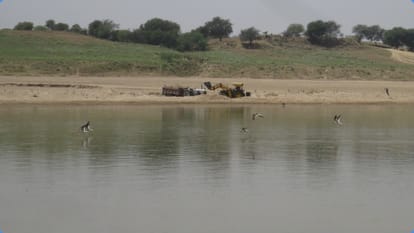 World Environment Day 2024 What is Indian Skimmer know sustainable water management connection of it