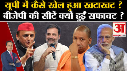 Lok Sabha Election Results 2024: How was the game played out in UP, why were BJP's seats wiped out?
