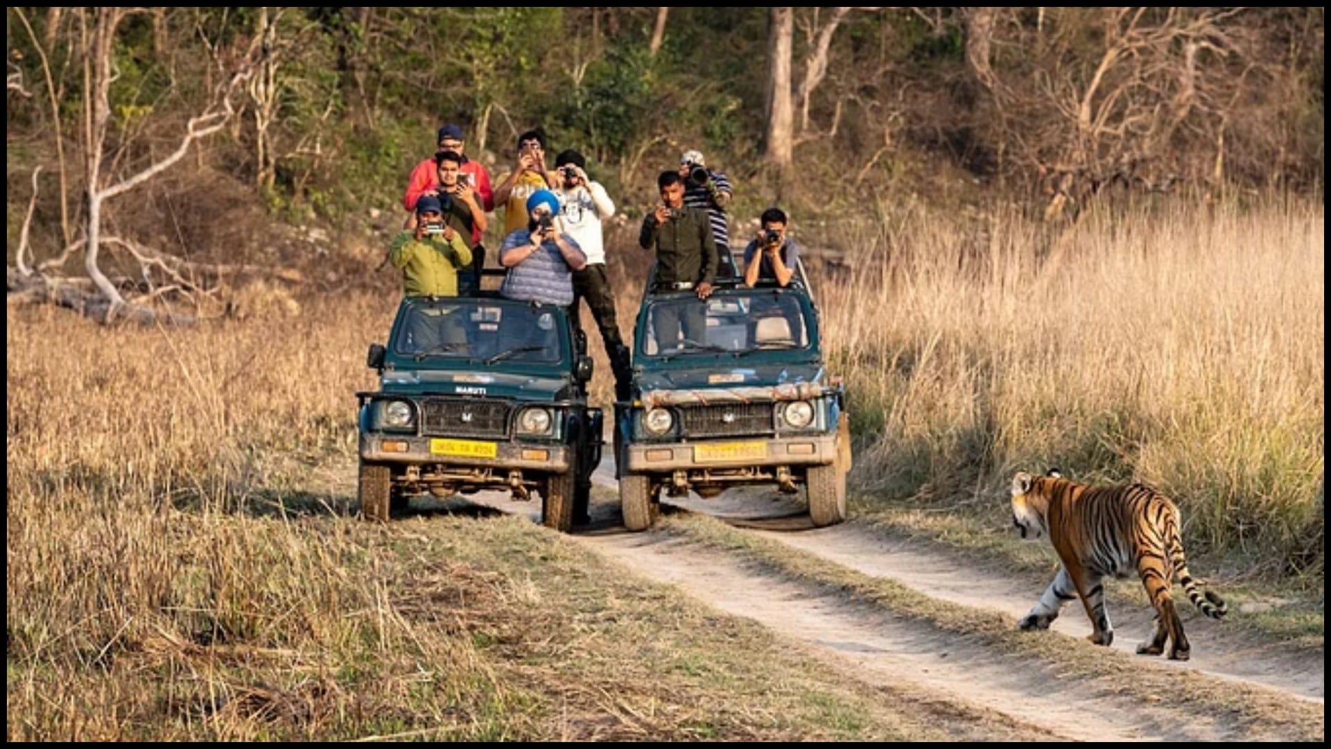 World Environment Day 2024 Tips To Protect Eco-Tourism Destinations During Travel in Hindi